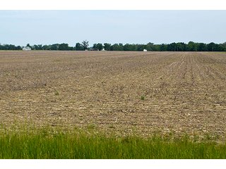 Property photo 30 - FARM & LAND AUCTION - 125+/- ACRES OFFERED IN 5 TRACTS IN EAST ALLEN COUNTY, INDIANA